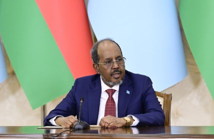 "Azərbaycan Somaliyə Afrikanın inkişaf edən bazarlarına, ticarət və logistika sahələrində qapı kimi baxa bilər"