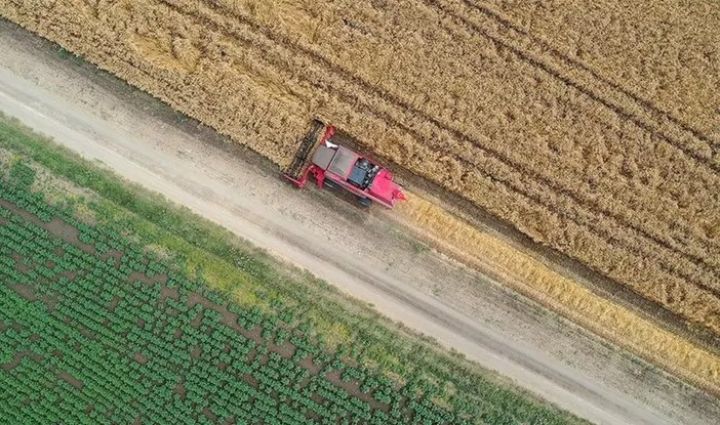 İyunda qlobal ərzaq qiymətləri yüksəlib