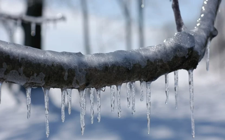 Sabah gecə Bakıda 8, rayonlarda 24 dərəcə şaxta olacaq