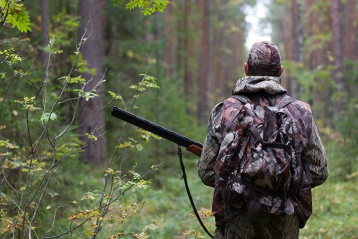 Azərbaycanda ov mövsümünün müddəti uzadılıb