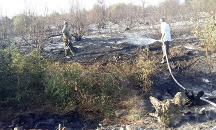 Oğuzda meşə yanır