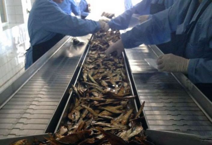 "Balıq və balıq məhsullarının istehsalı" müəssisəsi satışa çıxarıldı