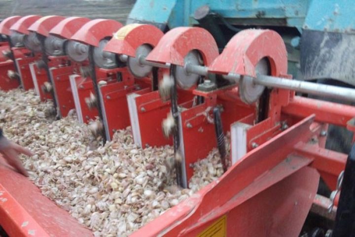 Az əmək tələb edir, amma yaxşı gəlir gətirir 