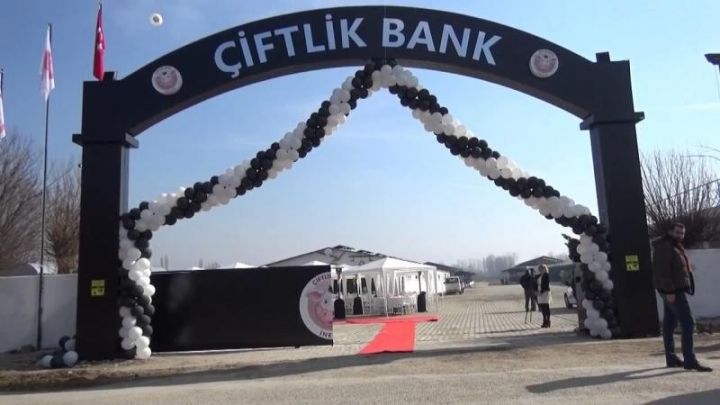 "Çiftlik Bank"ın sahibi: Bizə inanmayan pulunu geri götürüb, sistemdən çıxa bilər