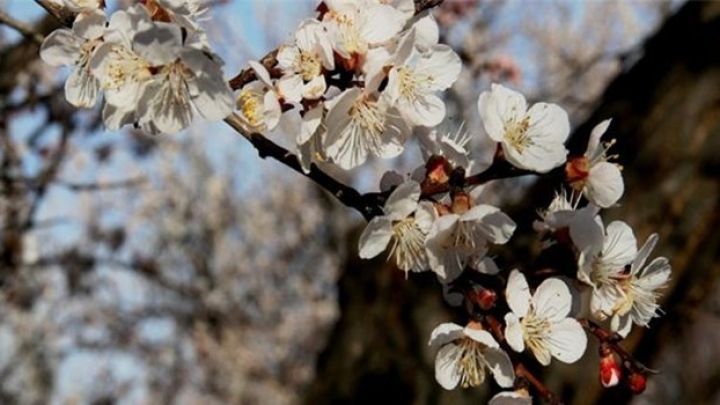 Sabaha olan hava proqnozu açıqlanıb
