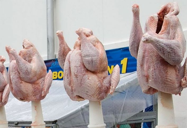 Danimarka şirkətləri Azərbaycanda hind quşu fabriki açmağı planlaşdırır