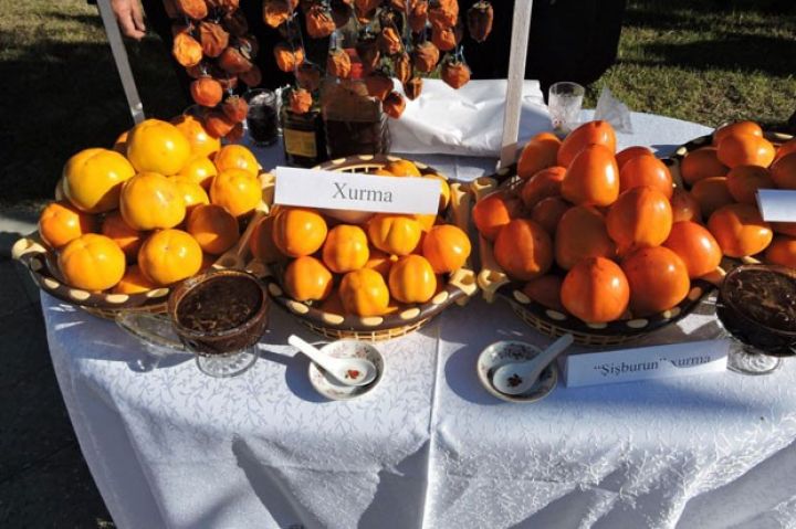 İlk dəfə beynəlxalq xurma festivalı keçiriləcək