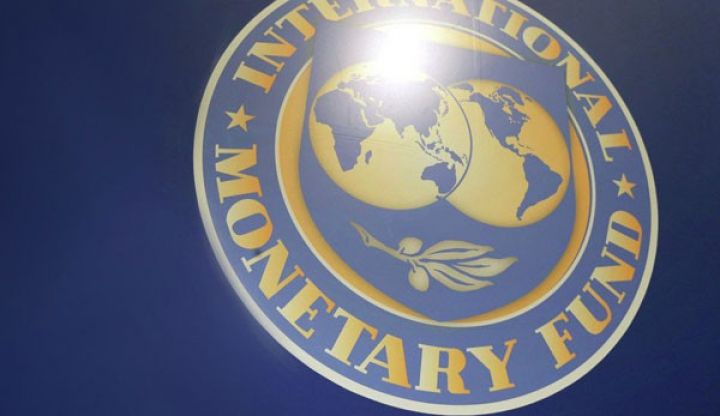 BVF: "Manatı bahalaşdırmaqda davam edin, bu önəmlidir"