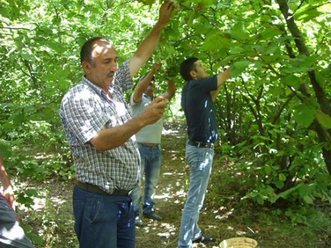 İrini 5 manat 50 qəpiyə, xırdanı isə 5 manata satır