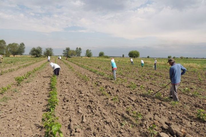 Ziyanlı orqanizmlər barədə atlas hazırlanacaq 