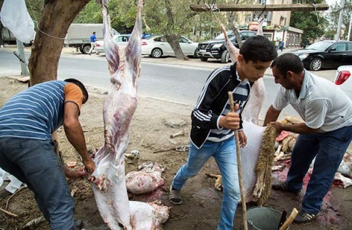 Heyvanların qanunsuz kəsiminə mərhələli şəkildə qadağa qoyulacaq
