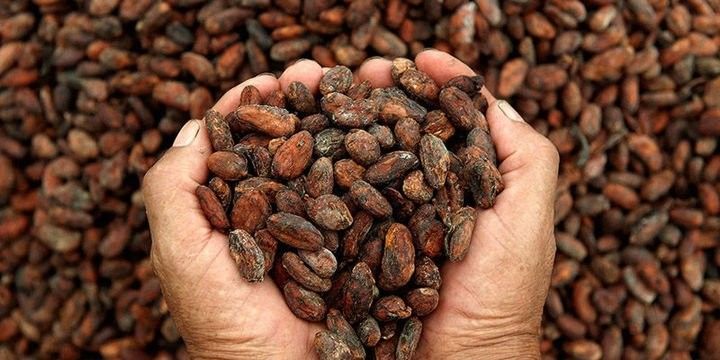 Ən çox qazandıran məhsul olub - 35 FAİZ GƏLİR