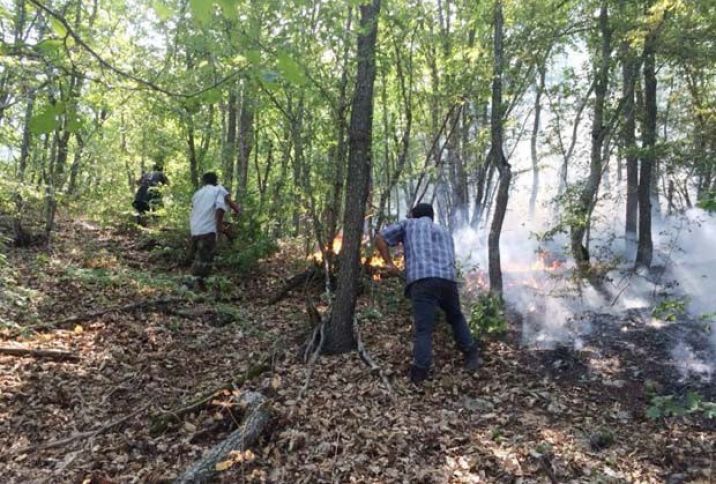 "Meşə yanğınları ilə bağlı şübhəli şəxslər müəyyən edilib"