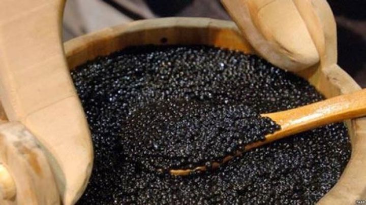 "Avropa Azərbaycanın ixrac etdiyi qara kürüyə nəzarəti artırmalıdır"