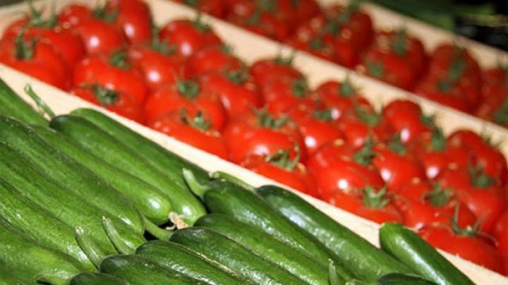 Samux istixana biznesinə maraq artıb