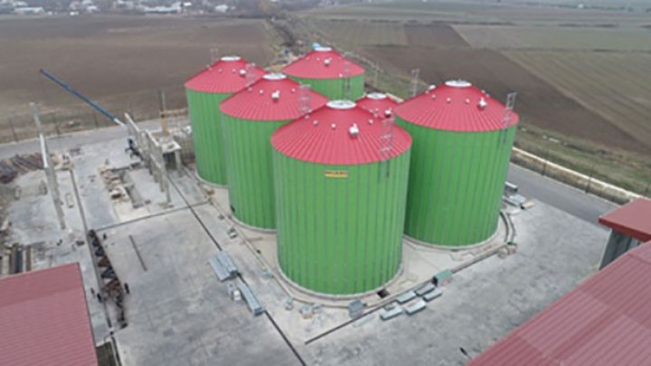 3 zavoddan ibarət kombinat tikilir