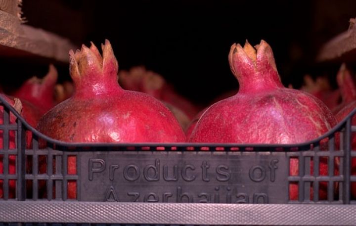 "Made in Azerbaijan" loqosunun təqdimatı olacaq