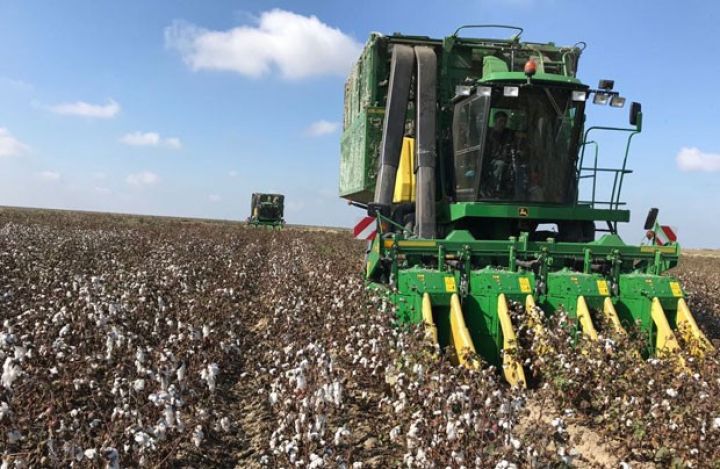 Sertifikatsız mexanizatorlar pambıq yığımında iştirak edə bilməyəcəklər