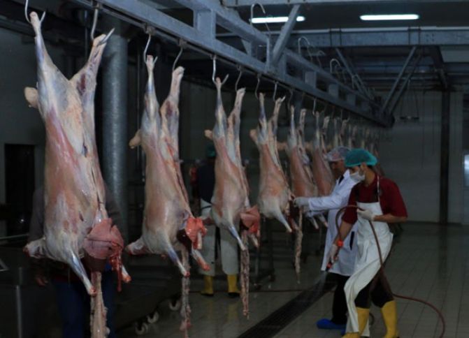 Prezidentdən heyvan kəsimi sərəncamı!