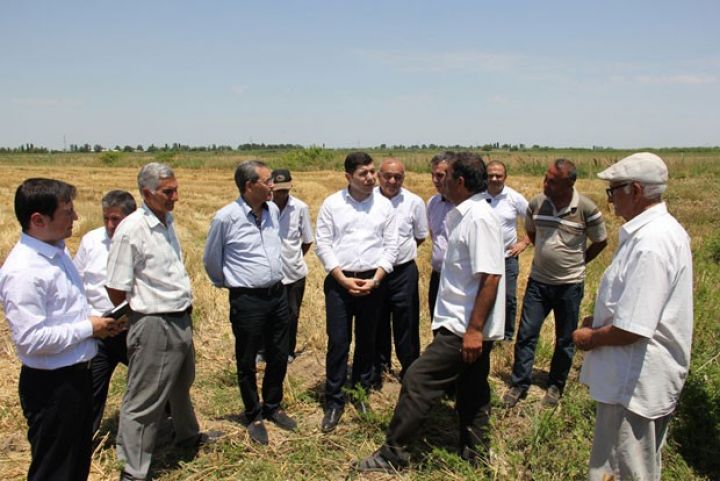 "Aqrolizinq"in sədri: "Taxıl biçini gecikir"