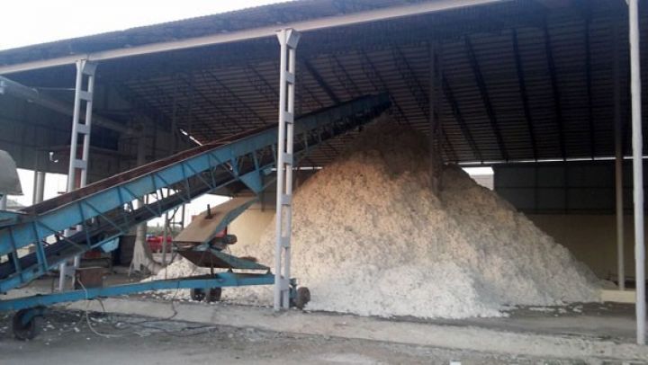 48 talvar tikiləcək - PODRATÇI SEÇİLİR