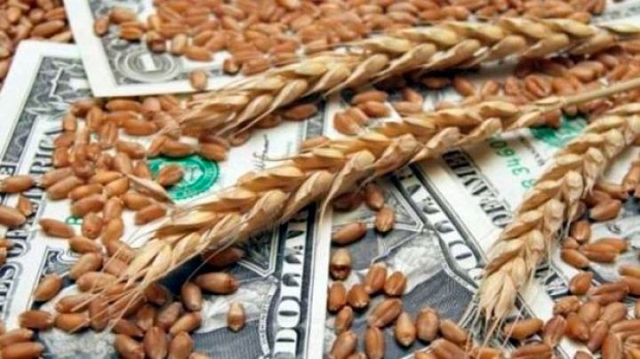 Azərbaycan 3 ayda buğda üçün xaricə 91 milyon dollar ödəyib - BÖYÜK ARTIM