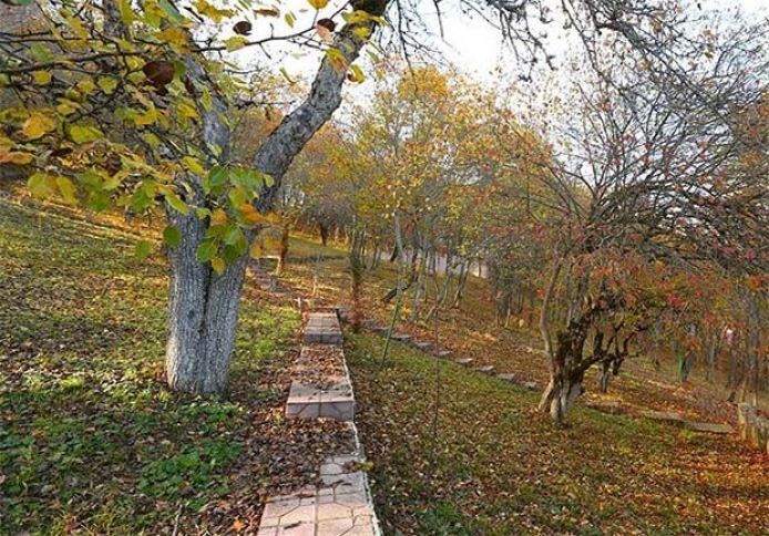 Bazar gününə olan hava proqnozu açıqlandı