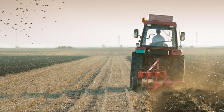 Kənd təsərrüfatı və emal sektorunun banklara borcu yenidən 500 milyon manatı ötüb