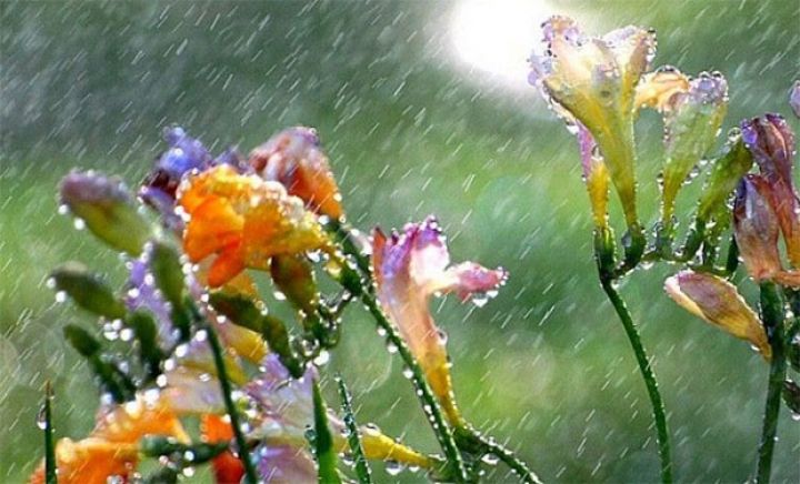 Sabah hava necə olacaq?