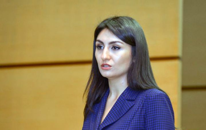 "Bəzi vergi dərəcələrinin artırılması müzakirə oluna bilən məsələlərdəndir"