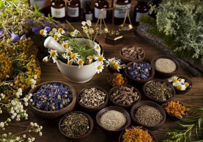 Gədəbəydə dərman bitkilərinin emalı müəssisəsi qurulur