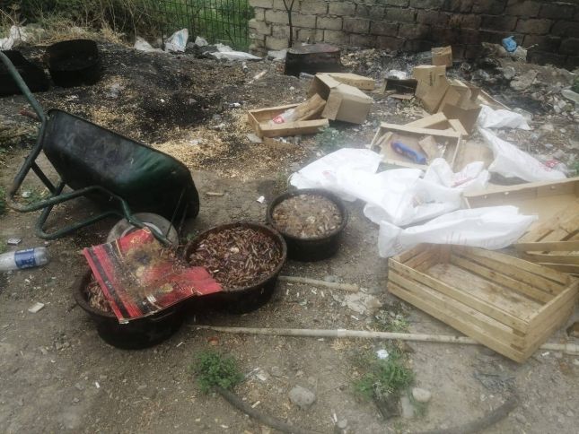 Hisə verilmiş  balıq istehsalı sexi bağlandı - Fotolar