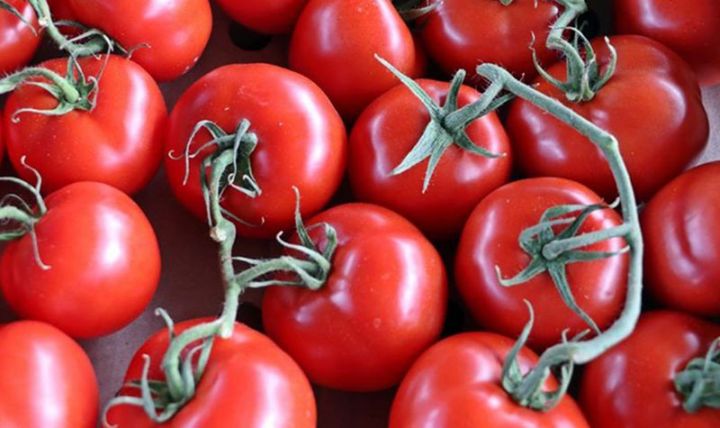 Azərbaycan şirkəti Ukraynanın supermarketlər şəbəkəsinə pomidor satacaq