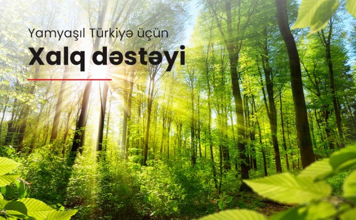 Xalq Bankın adından Türkiyədə 21 mindən çox ağac əkiləcək