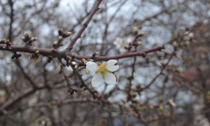 Sabahın hava proqnozu