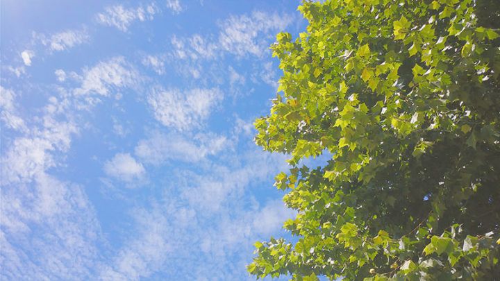 İstirahət günlərində regionlarda gözlənilən hava şəraiti açıqlanıb