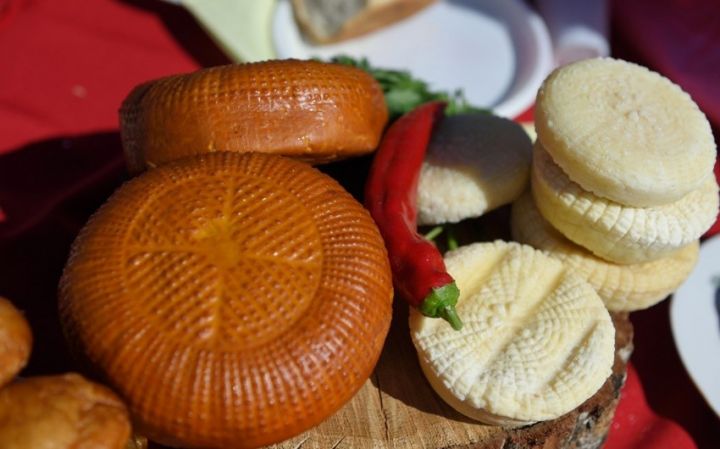 Bu il Azərbaycana Ulyanovskdan 19 min ton pendir ixrac edilib