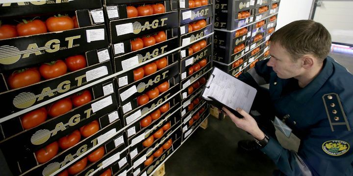 Azərbaycandan Rusiyaya pomidor ixracı  demək olar ki, dayanıb