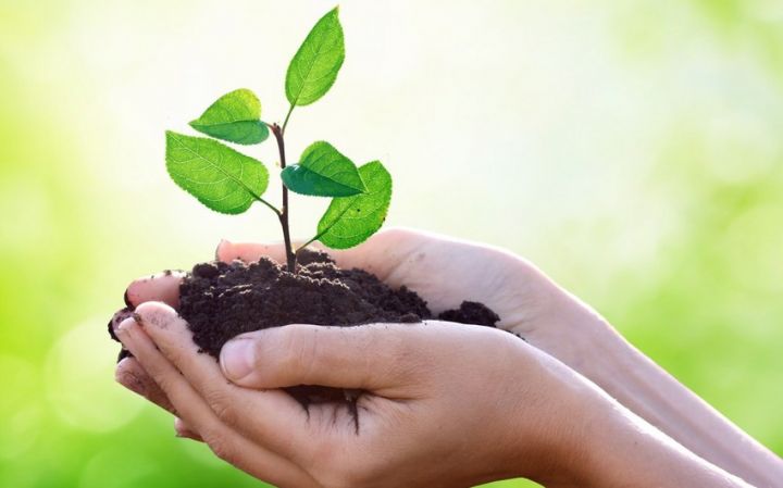 Azərbaycanda bəzi bitkilər üçün əkin subsidiyasının verilməsi dayandırılır