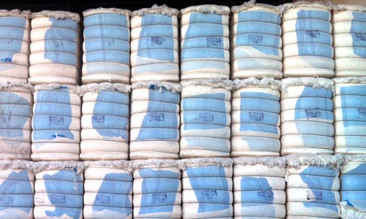 Bu məhsulların ixracı 8 ayda Azərbaycana 180 milyon dollar valyuta gətirib