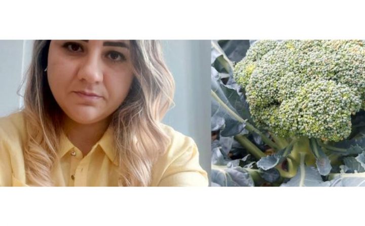 Kənd məktəbinin biologiya müəllimi Azərbaycanda ilkə imza atdı - BROKOLİ YETİŞDİRİB