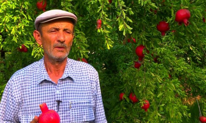 "Xarici bazarlara çıxışımız çətinləşib, alıcı qıtlığımız var"