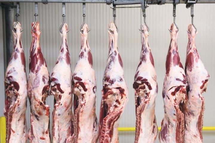 "Şahdağ Süd və Ət" şirkəti kəsim məntəqəsinin yaradılması üçün dövlətdən güzəştli kredit aldı