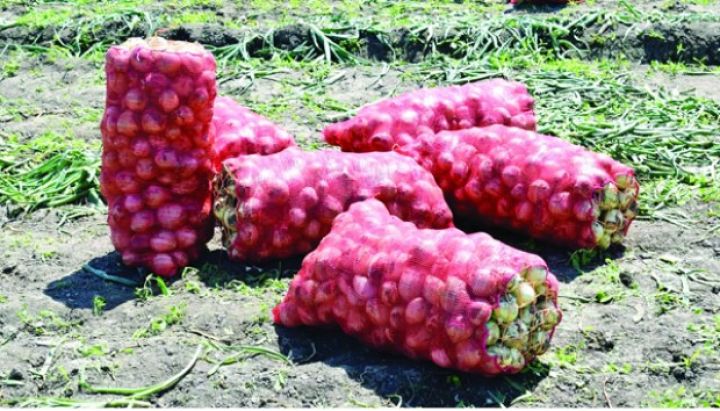 "İxrac rekord həddə artdığı üçün daxili bazarda ehtiyat tükəndi və o üzdən qiymət bahalaşdı"