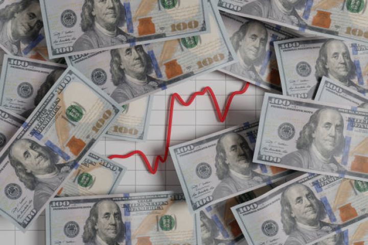 Azərbaycanın investisiya şirkəti 1 milyon dollar borc alır