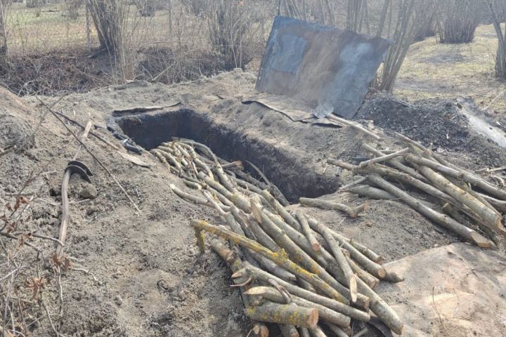 Kömür istehsal edən ocaqxanaların fəaliyyəti dayandırılıb - VİDEO