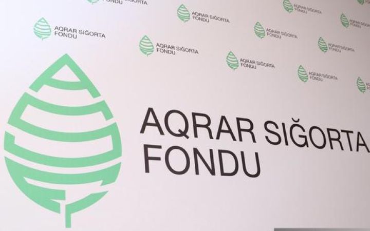 "Təkcə apreldə 13 milyon manatlıq istehsala tam və yaxud qismən ziyan dəyib"