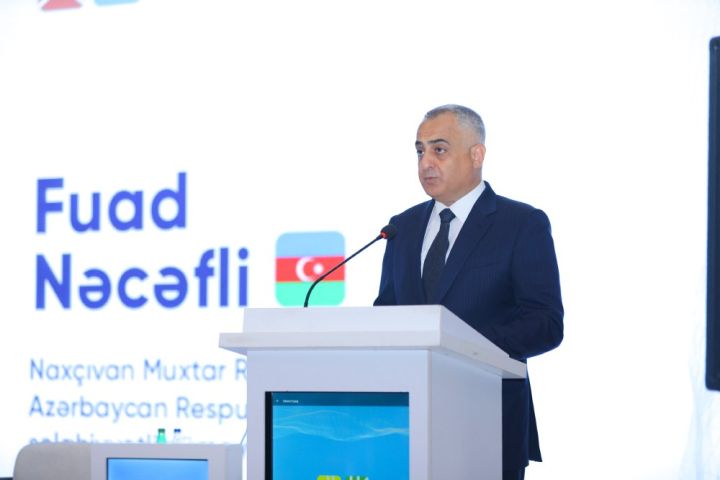 Fuad Nəcəfli: Muxtar respublikada son iki il ərzində 6 yeni yataq kəşf edilib