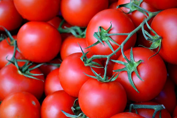 Azərbaycanın pomidor ixracından gəliri azalıb